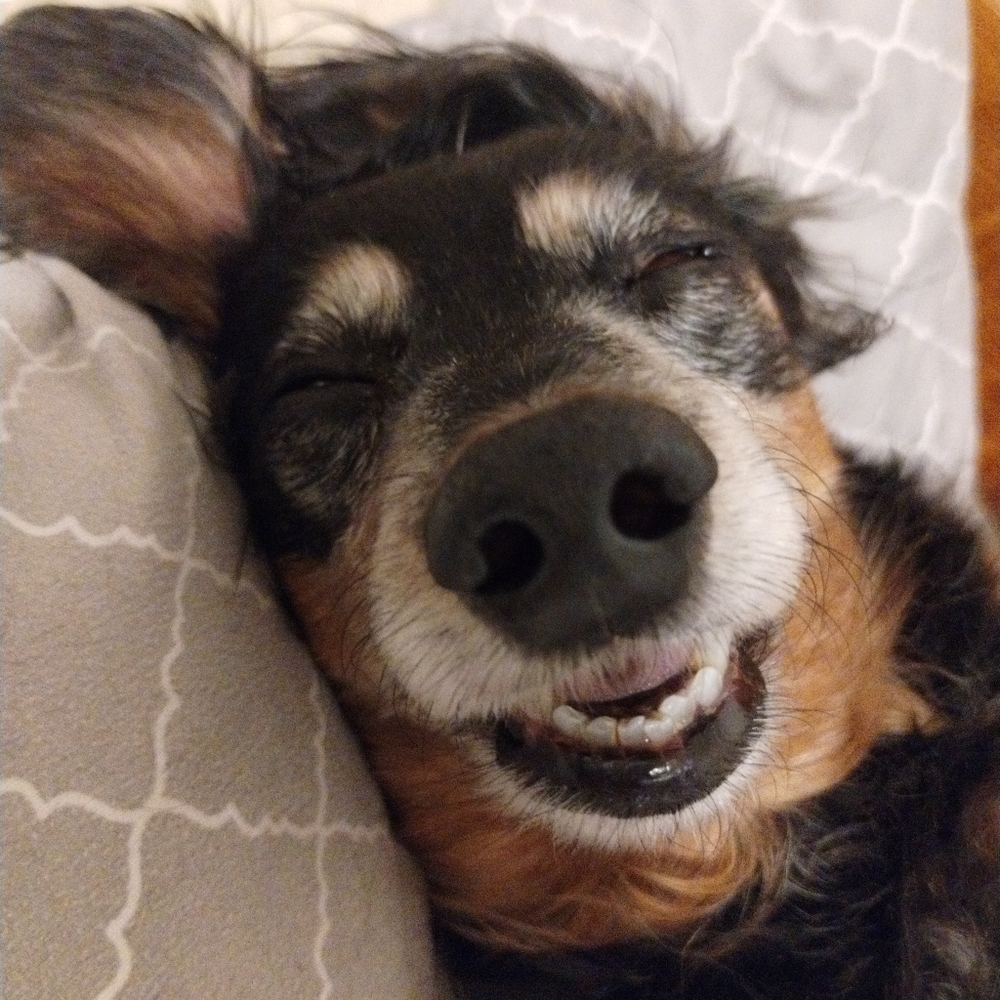 Meet your Posher, Posh